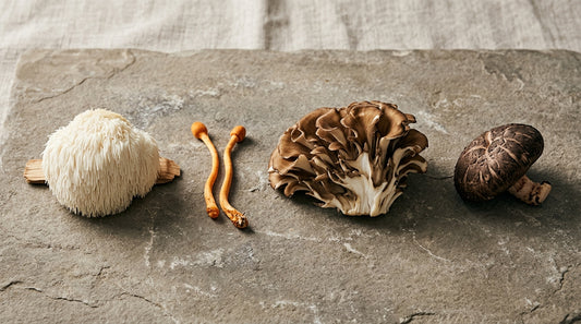 Lion's Mane, Cordyceps, Maitake, and Shiitake functional mushrooms arranged on a stone surface